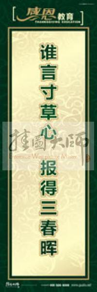 感恩宣傳標語 感恩標語 感恩教育標語 中學生感恩教育 誰言寸草心,報得三春暉