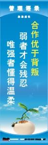 管理標語 現(xiàn)場管理標語 生產(chǎn)管理標語 合作優(yōu)于背叛弱者才會殘忍唯強者懂得溫柔