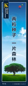 激勵標語|勵志標語|企業(yè)勵志標語-兩粒種子，一片森林