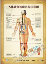 經絡穴位養(yǎng)生圖片 人體背部按摩穴位示意圖