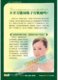 婦科病圖片 婦科掛圖 不開刀能切除子宮肌瘤嗎