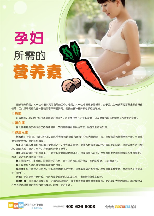 孕期保健知識圖 婦幼保健宣傳標語 孕婦所需的營養(yǎng)素