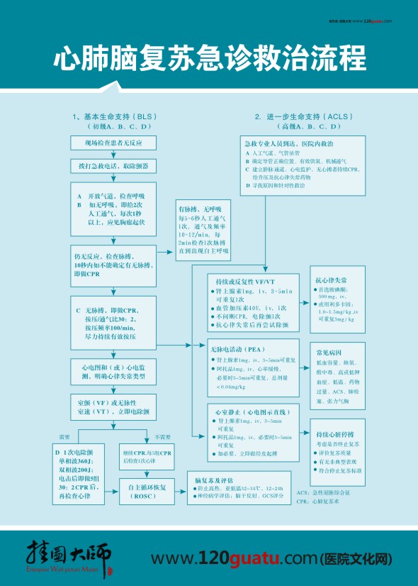 心肺復蘇急診救治流程圖