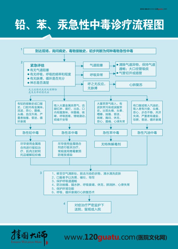 鉛、笨、汞急性中毒診療流程圖 醫(yī)院急救流程