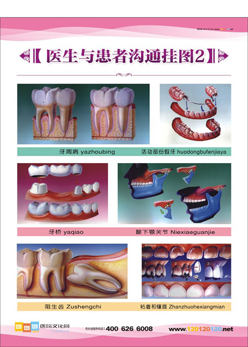 口腔醫(yī)院圖片 牙科門(mén)診圖片 口腔科醫(yī)生與患者溝通掛圖