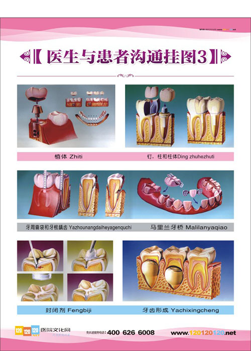 牙科宣傳圖片 牙科門診圖片 口腔科醫(yī)生與患者溝通掛圖3