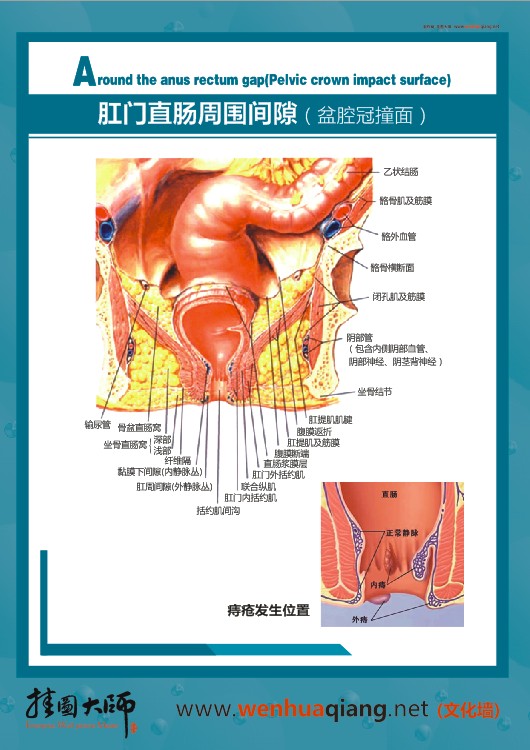 肛門直腸周圍間隙（盆腔灌裝面）