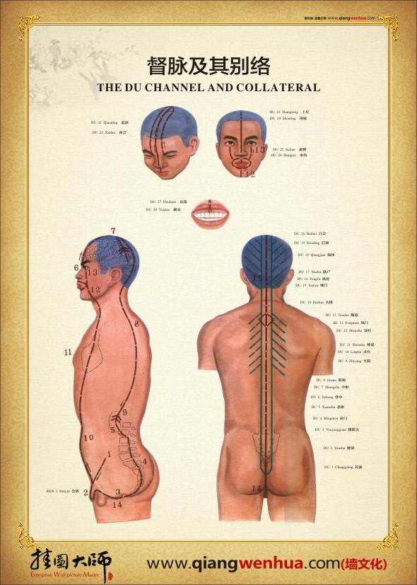 都脈及其別脈 人體經脈穴位圖