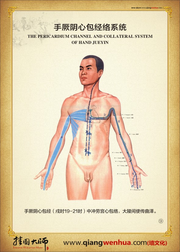 手厥陰心經經絡系統(tǒng)  人體經絡示意圖