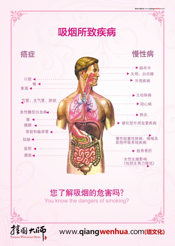 禁煙宣傳欄 禁煙宣傳圖