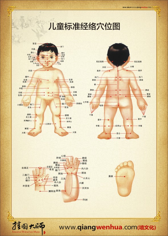 兒童經絡穴位圖 中醫(yī)人體穴位圖