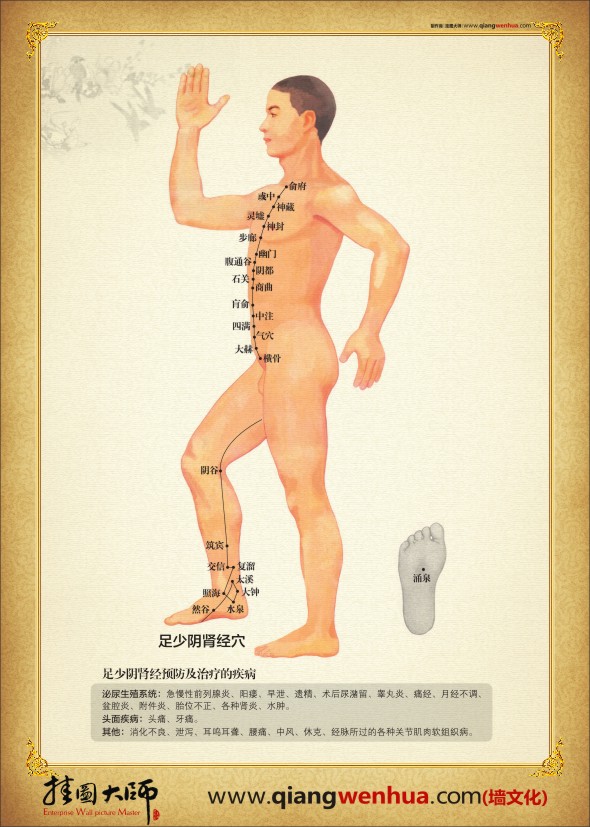 人體全身經絡穴位圖 