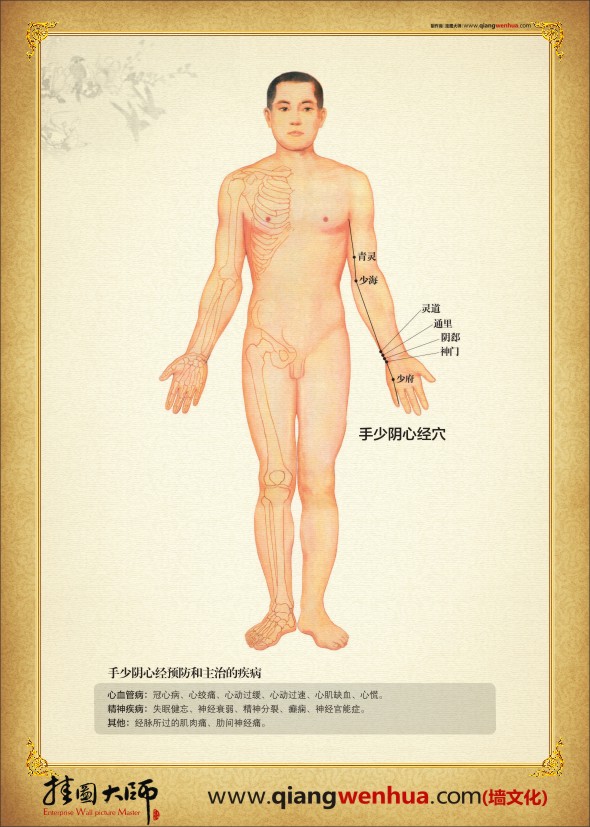 人體經絡穴位圖